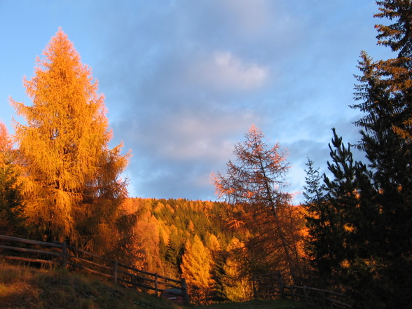 Die Halloween Hütte - 