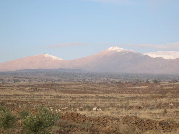 Golan - 