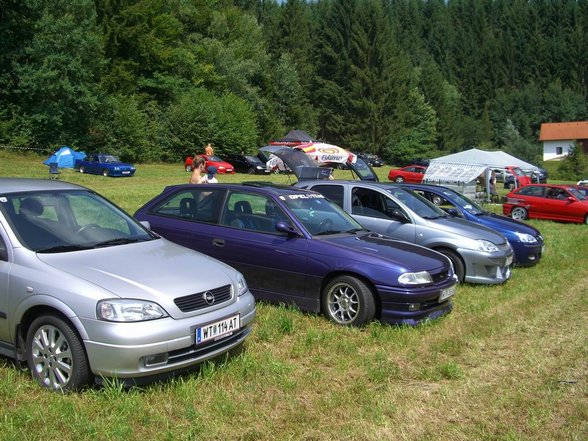 Grein 2007 - 