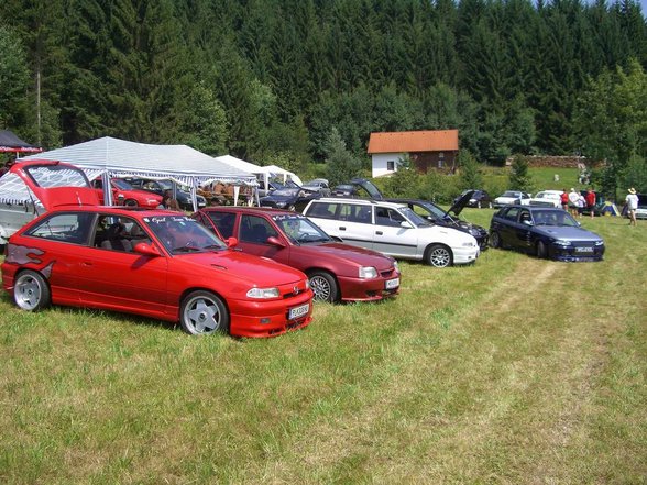 Grein 2007 - 