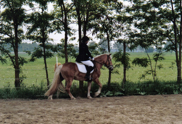 Reiten^^ - 