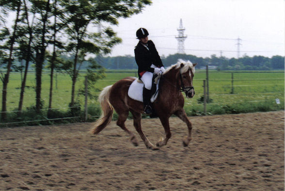 Reiten^^ - 