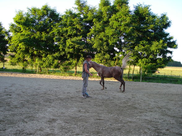 Reiten^^ - 