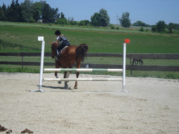 Reiten^^ - 