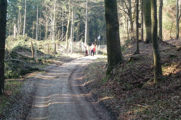 Auf Entdeckungsreise - 