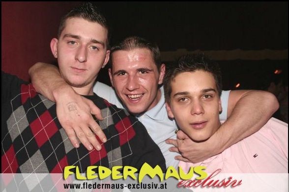 Fledermaus - 