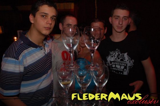 Fledermaus - 