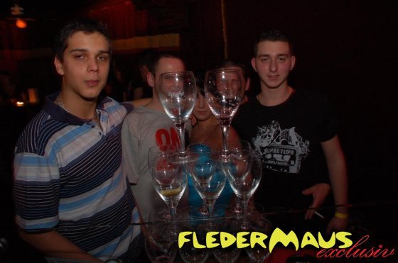 Fledermaus - 