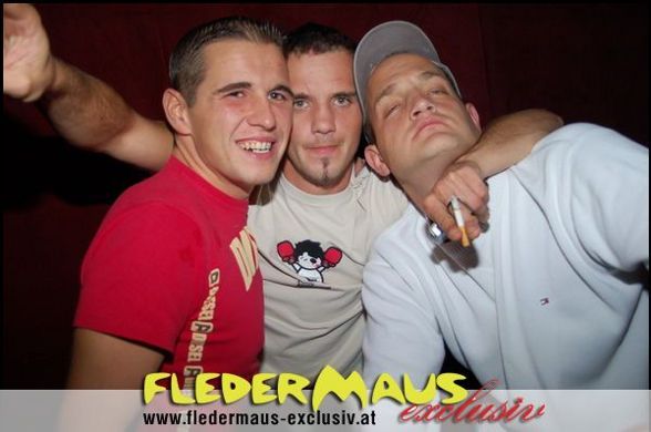 Fledermaus - 