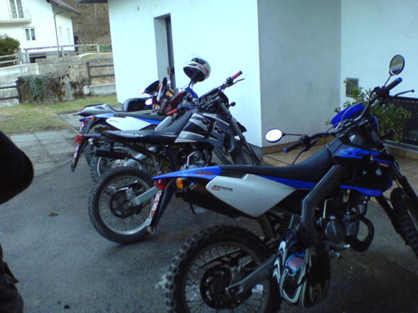 Hoinstoana Mopedgang - 