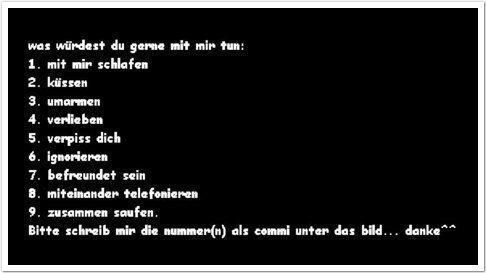 Umfragen - 