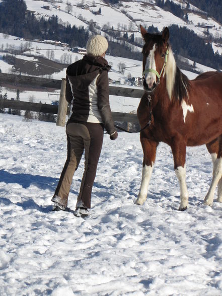 SNOWY HAWK BANDIT - 