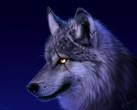 Wolf - 