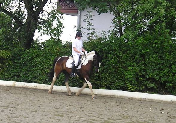 Turniere - 
