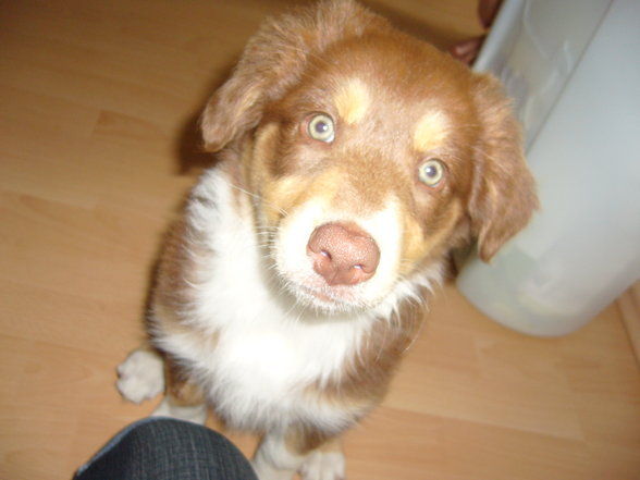 mein kleiner schatz ? - 