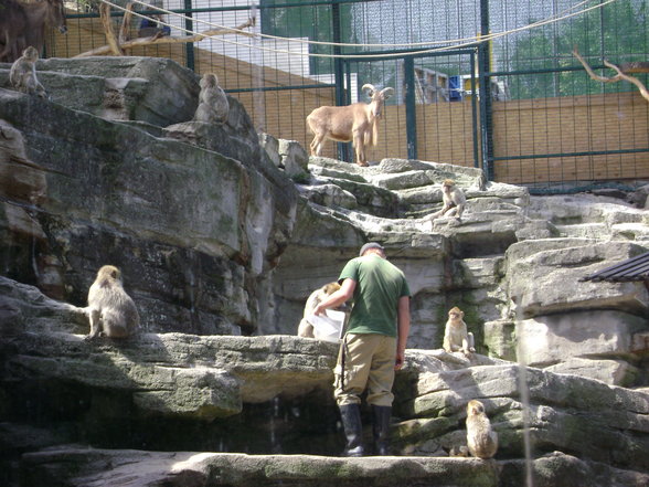 °*°Tiergarten Schönbrunn 31 - 