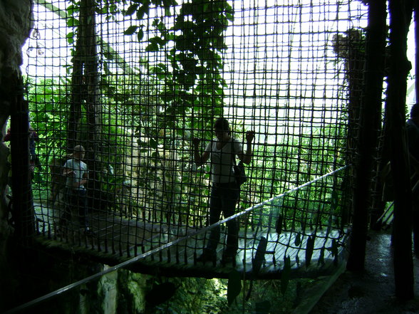 °*°Tiergarten Schönbrunn 31 - 