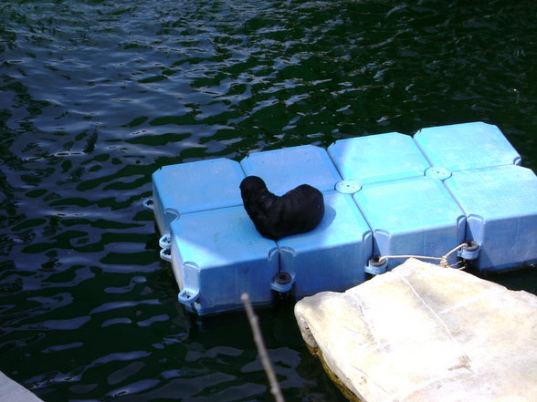 °*°Tiergarten Schönbrunn 31 - 