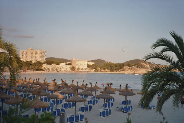 Urlaub Mallorca (Paguera) - 