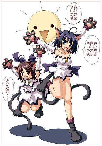 Catgirls - 