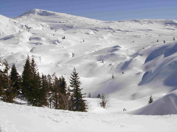 Auf da Alm da gibts ka Sünd..... - 