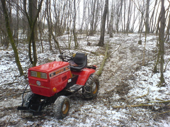 wald arbeiten - 