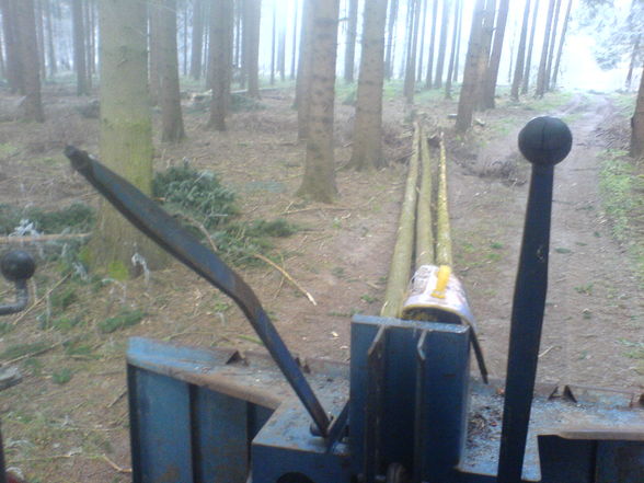 wald arbeiten - 