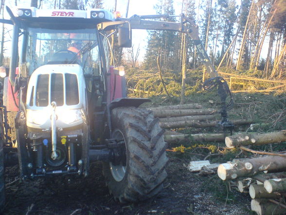 wald arbeiten - 