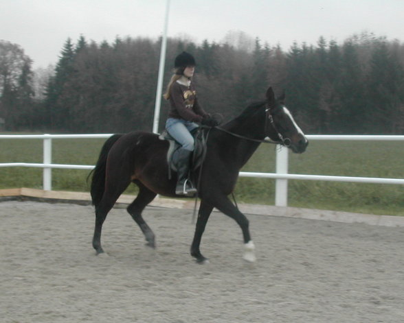 *Reiten* - 