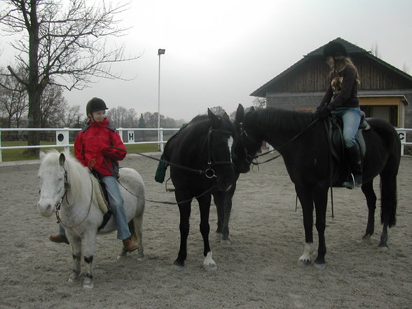 *Reiten* - 