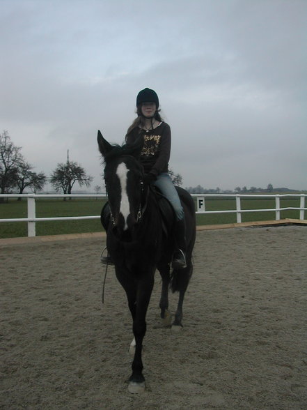 *Reiten* - 