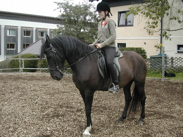 *Reiten* - 