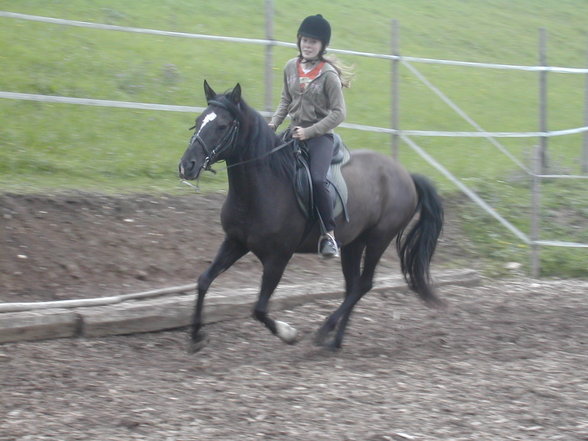 *Reiten* - 