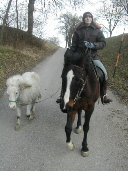 *Reiten* - 