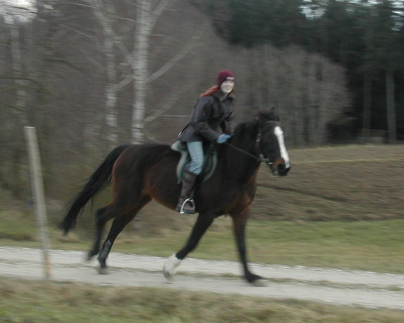 *Reiten* - 