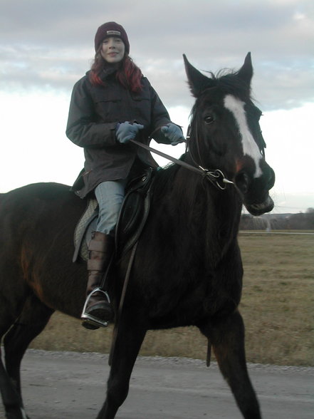 *Reiten* - 