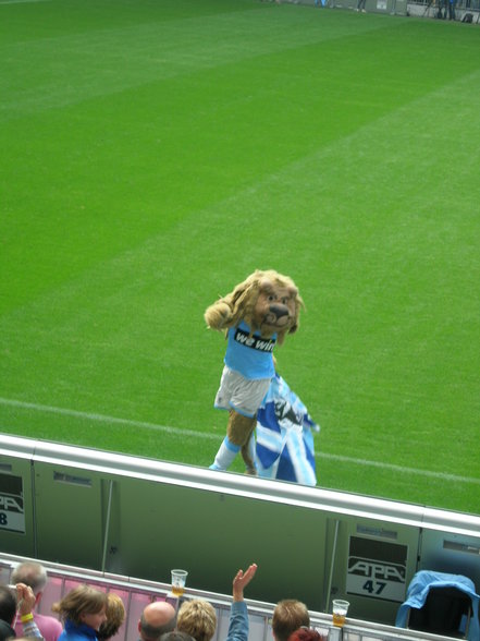 Allianz Arena 60er- Freiburg - 