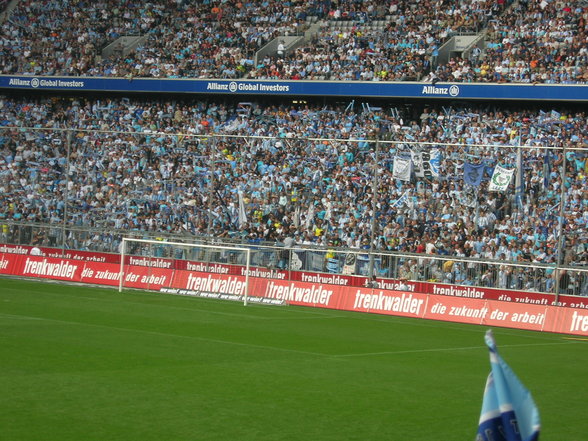 Allianz Arena 60er- Freiburg - 