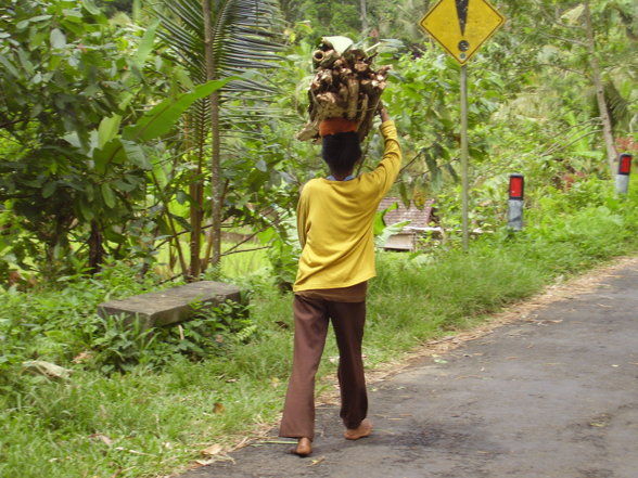 Bali - 