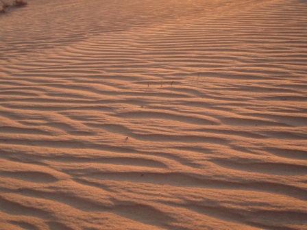 Jordanien - 
