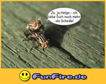 einfach geil - 