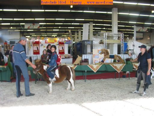 Amadeus Horse Indoors 12. - 15.10.2006 - 