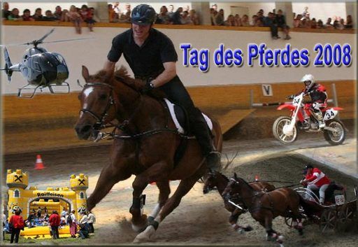 Tag des Pferdes 2008 - 