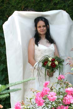 hochzeit2 - 