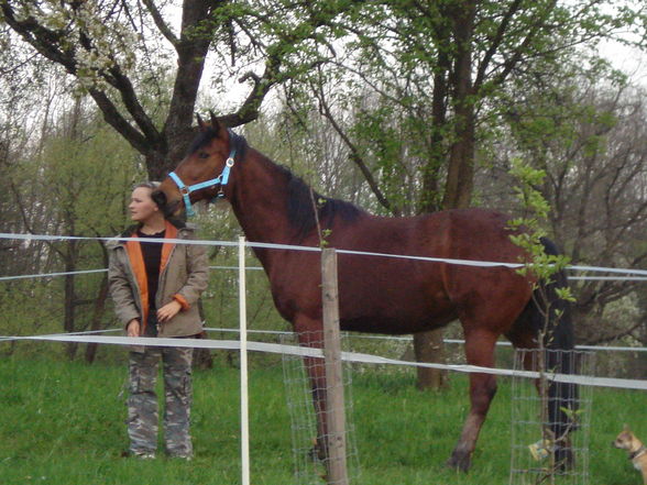 minal u. ich beim Koppelbauen ;-) - 