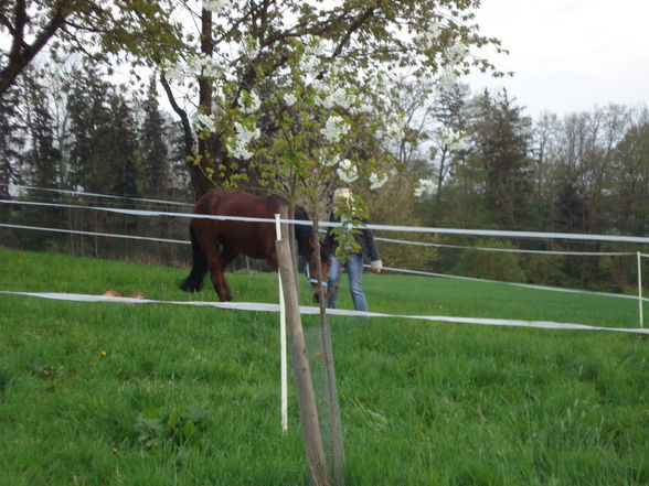 minal u. ich beim Koppelbauen ;-) - 