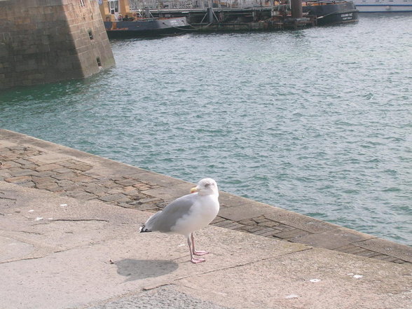 St. Malo - 