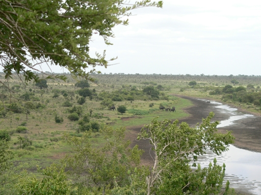 South Africa - Krüger Park - 