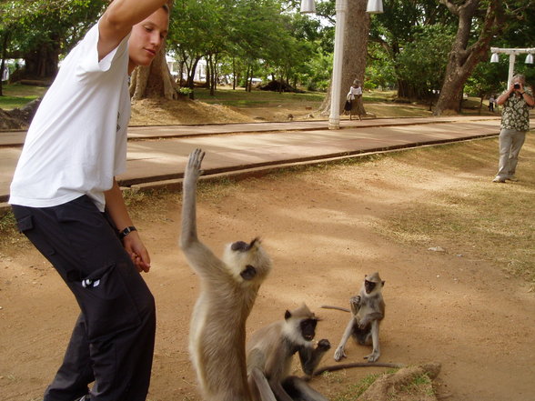 Sri Lanka - 