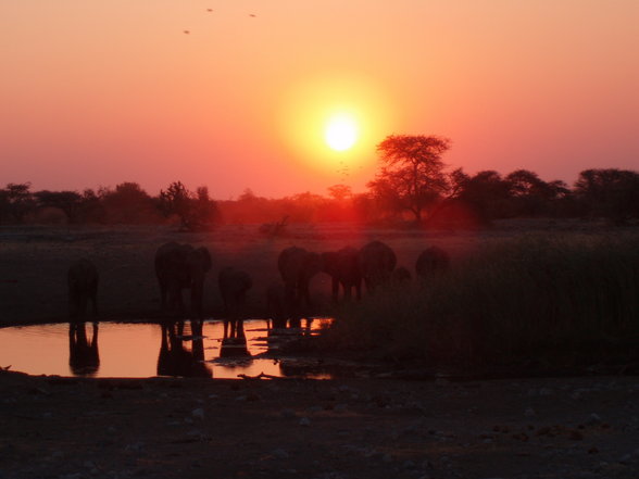 ~NaMiBiA~ - 